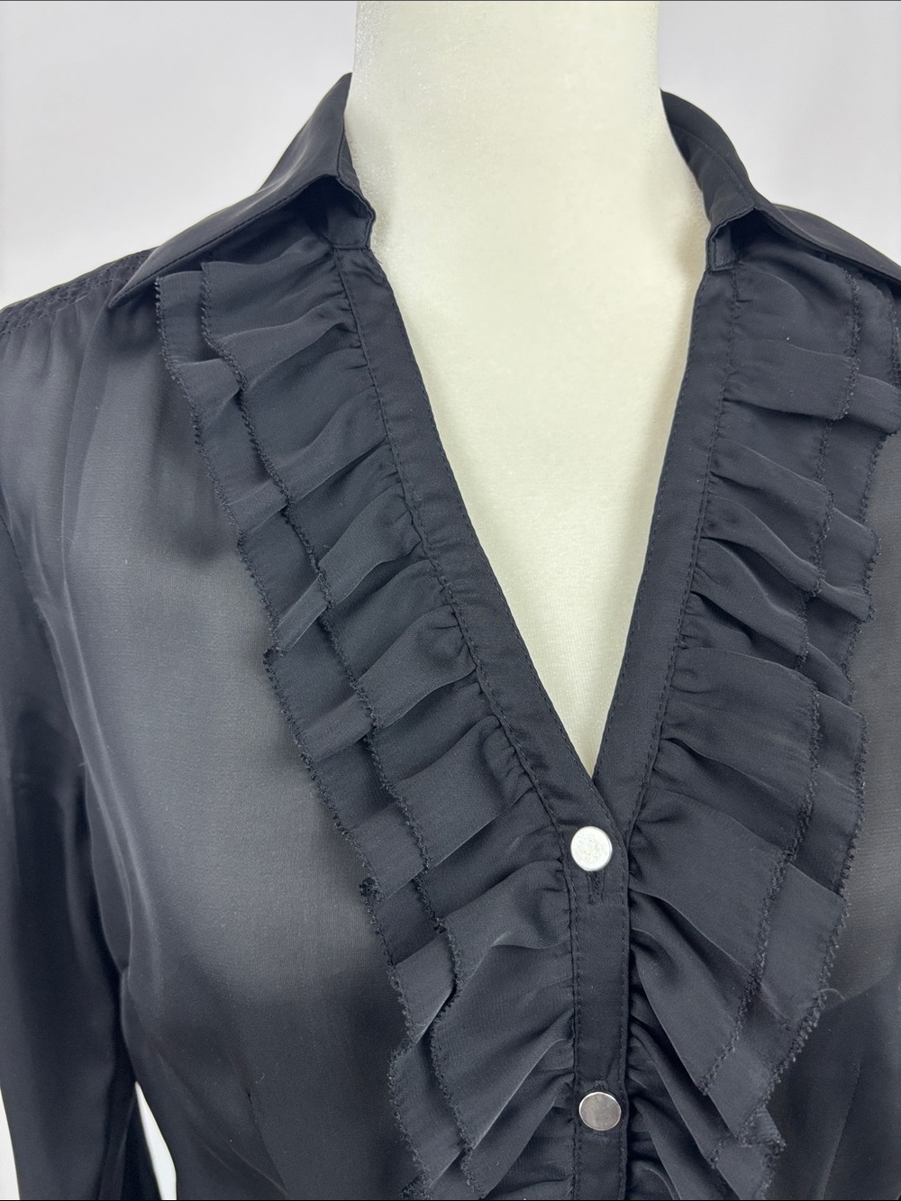 WHBM Sheer Ruffled Front Blouse - Picture 3 of 8
